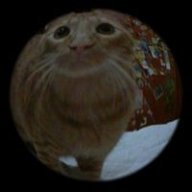 lil
