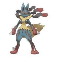 Poke fan 2000