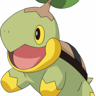 Turtwiguy9