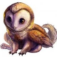 Griffin_Lokison