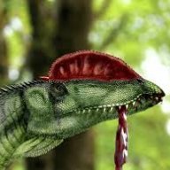 DrDilo