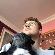 SephPug