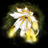 Dragonsbreath