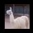 Queen of Llamas