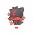 Dani The Litten